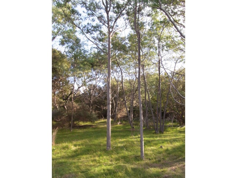 15 Deals Road, Bicheno TAS 7215