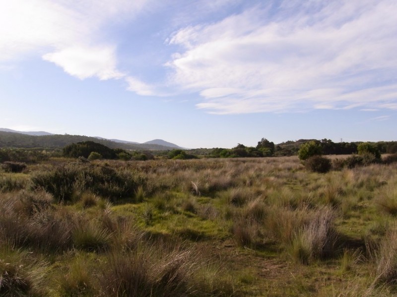 15 Deals Road, Bicheno TAS 7215