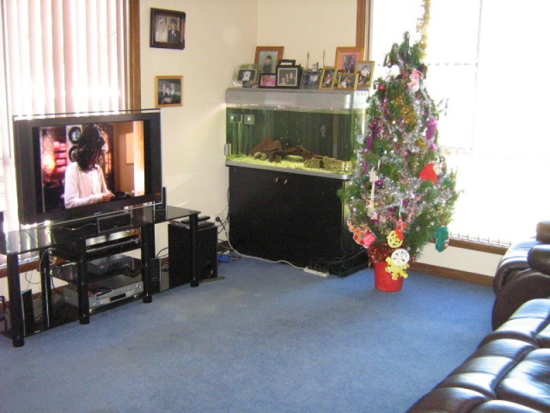 5 Esperenza Court, Zeehan TAS 7469