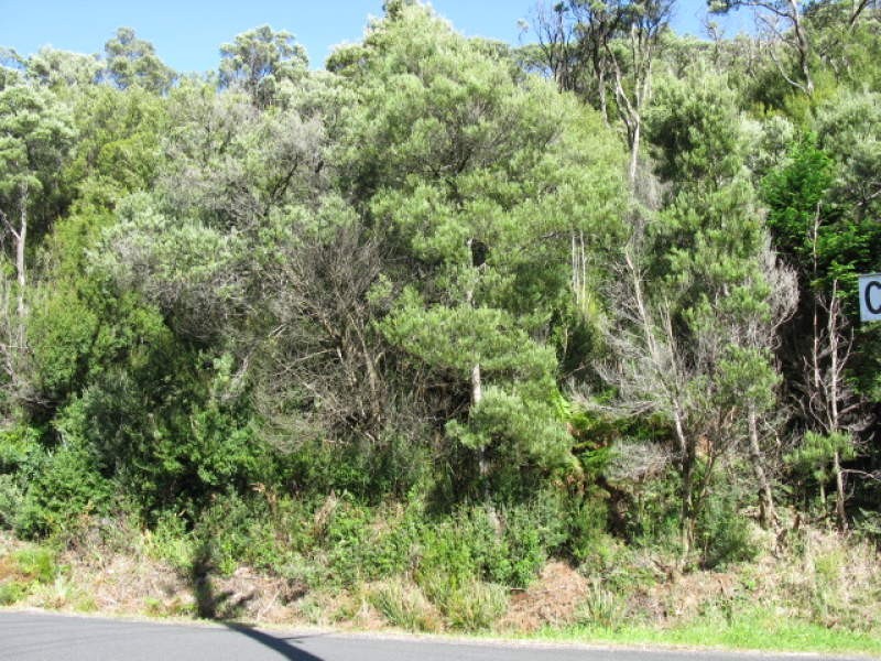 Queenstown TAS 7467