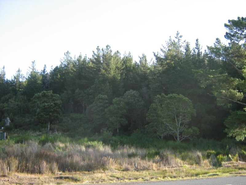 Heemskirk Road, Zeehan TAS 7469