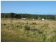 Main Street, Zeehan TAS 7469