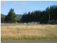 Main Street, Zeehan TAS 7469