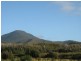 Zeehan TAS 7469
