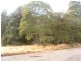 Hean Street, Tullah TAS 7321