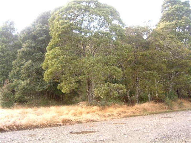 Hean Street, Tullah TAS 7321