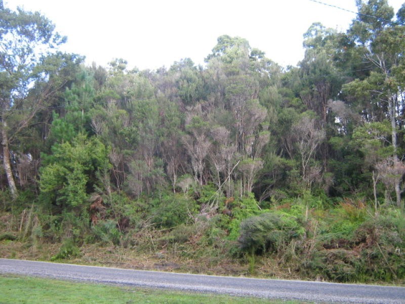 Featherstone Street, Strahan TAS 7468