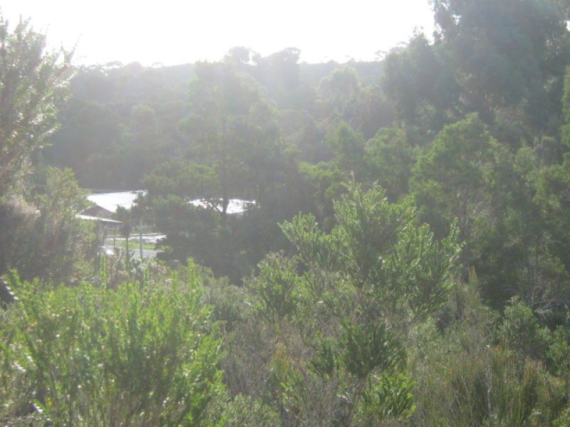 Featherstone Street, Strahan TAS 7468