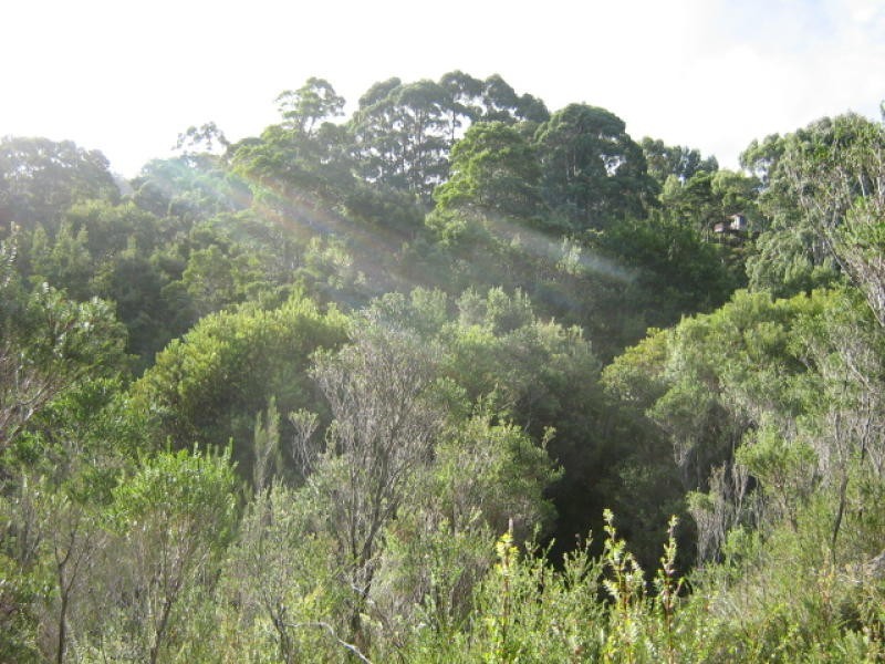 Featherstone Street, Strahan TAS 7468