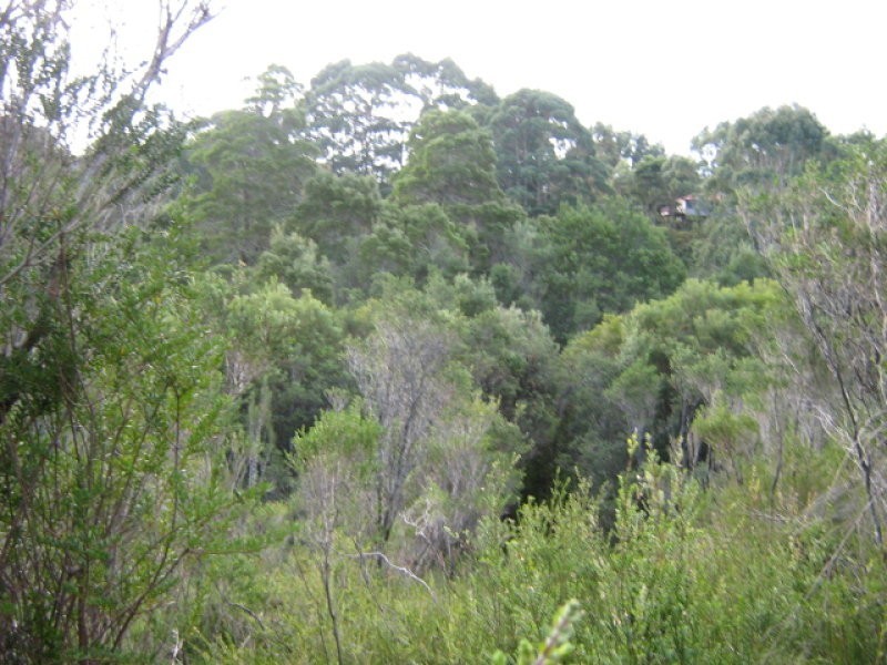 Featherstone Street, Strahan TAS 7468