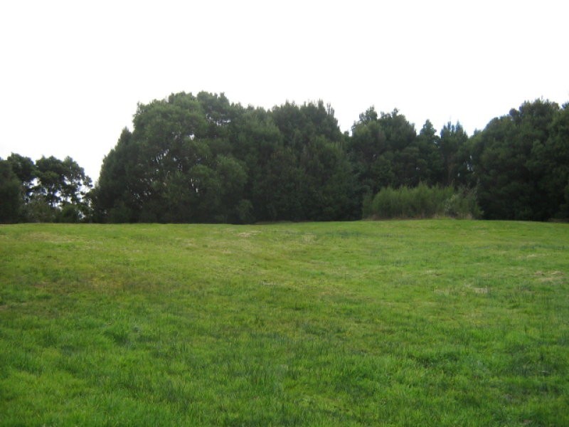 115 Main Street, Zeehan TAS 7469