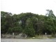 115 Main Street, Zeehan TAS 7469