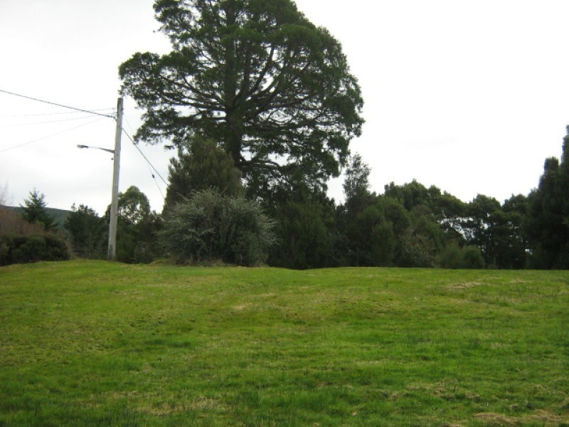115 Main Street, Zeehan TAS 7469