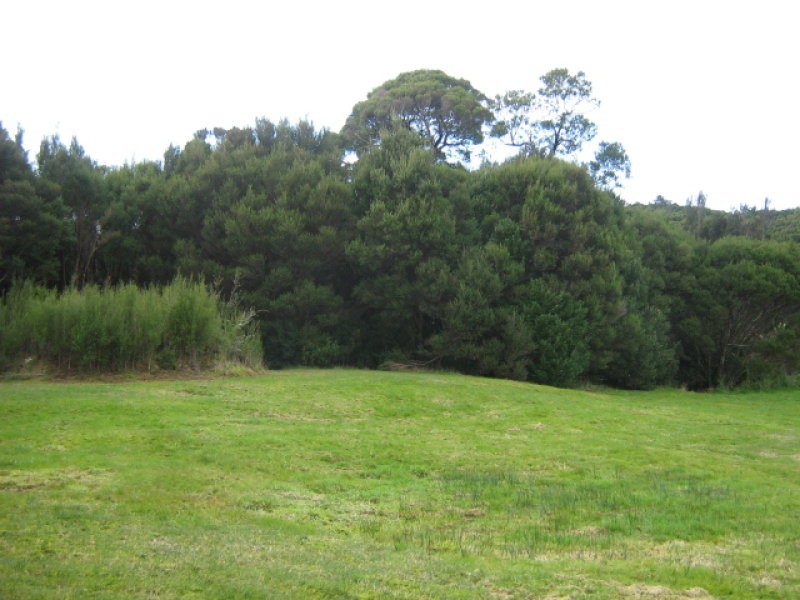 115 Main Street, Zeehan TAS 7469
