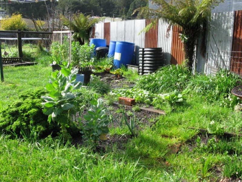 59 Driffield Street, Queenstown TAS 7467