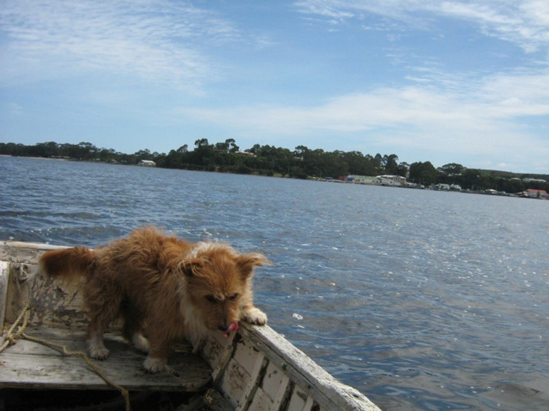 70 Esplanade, Strahan TAS 7468