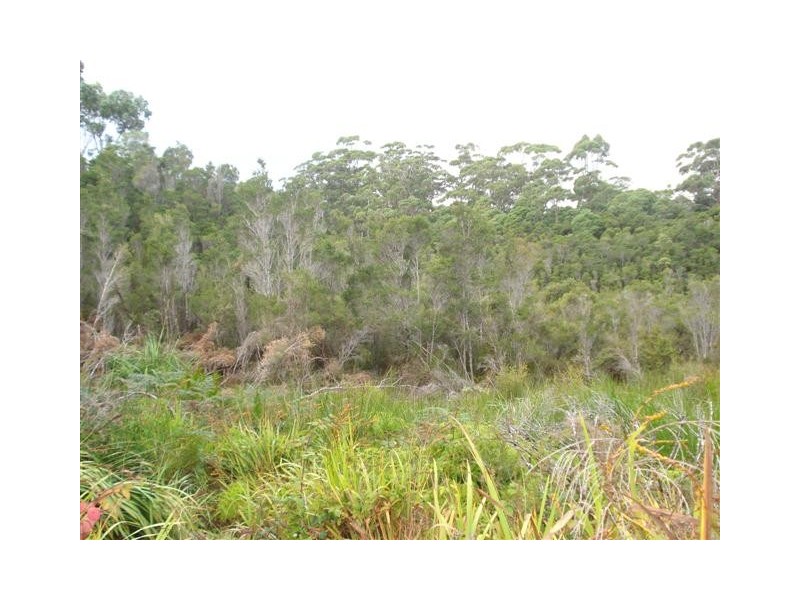 4 Trafford Street, Strahan TAS 7468
