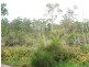 4 Trafford Street, Strahan TAS 7468