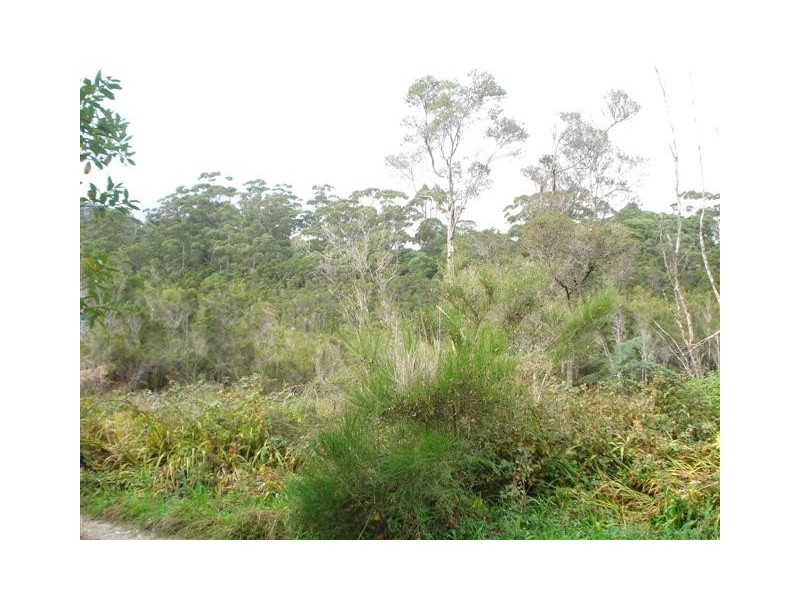 4 Trafford Street, Strahan TAS 7468
