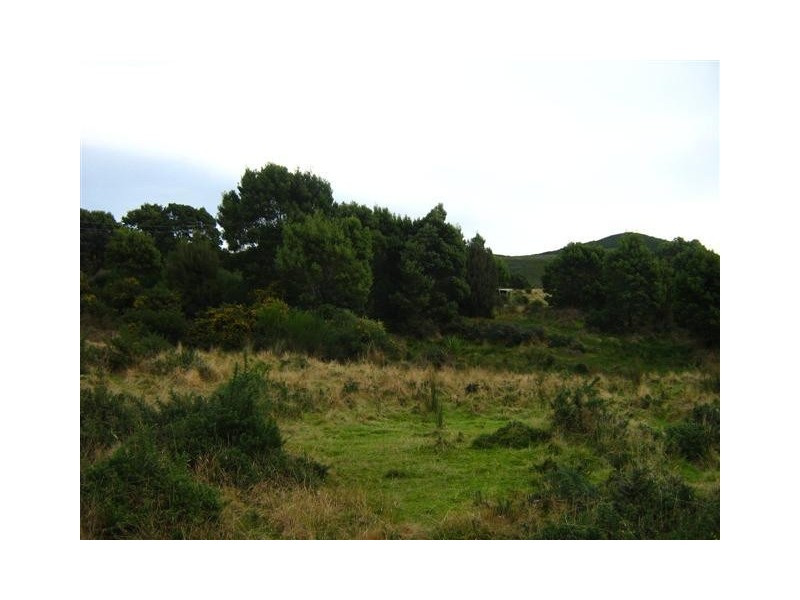 Runcorne Street, Zeehan TAS 7469