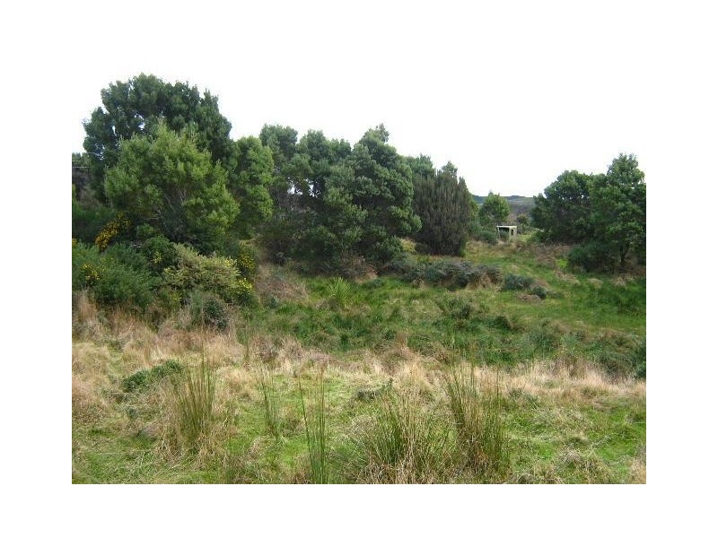 Runcorne Street, Zeehan TAS 7469
