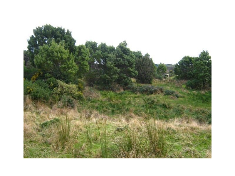 Runcorne Street, Zeehan TAS 7469