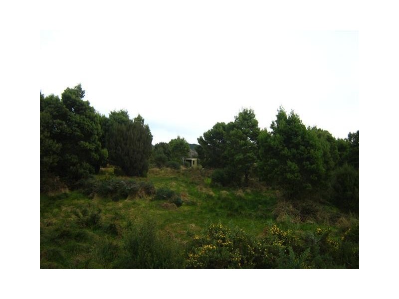 Runcorne Street, Zeehan TAS 7469