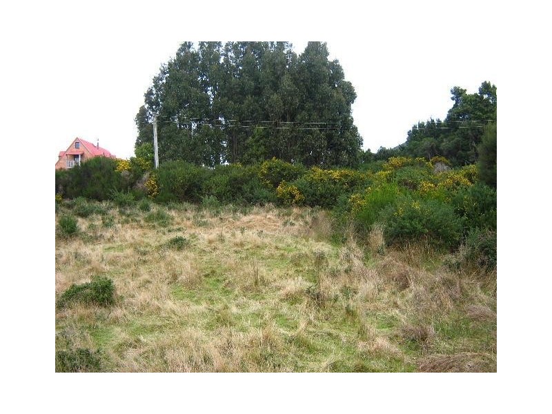 Runcorne Street, Zeehan TAS 7469