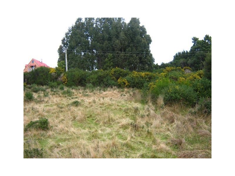 Runcorne Street, Zeehan TAS 7469