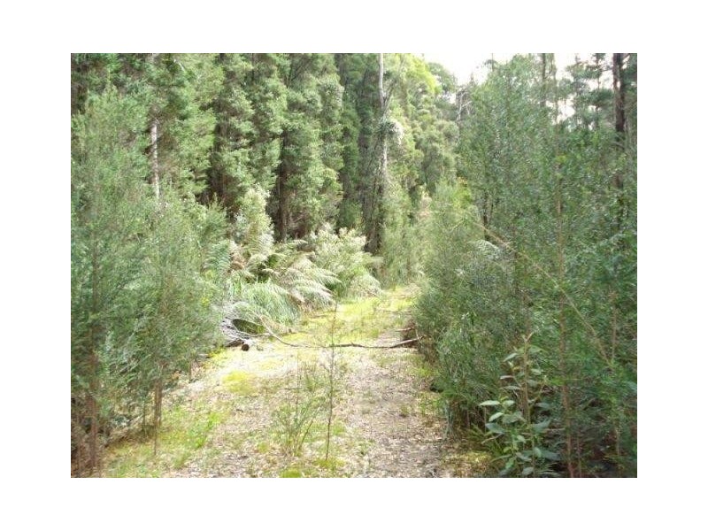 . Park Street, Strahan TAS 7468