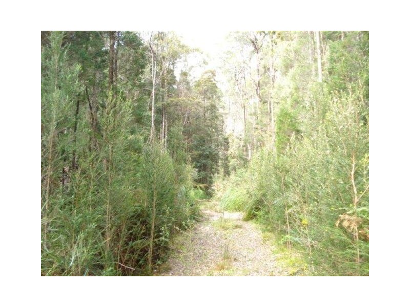 . Park Street, Strahan TAS 7468