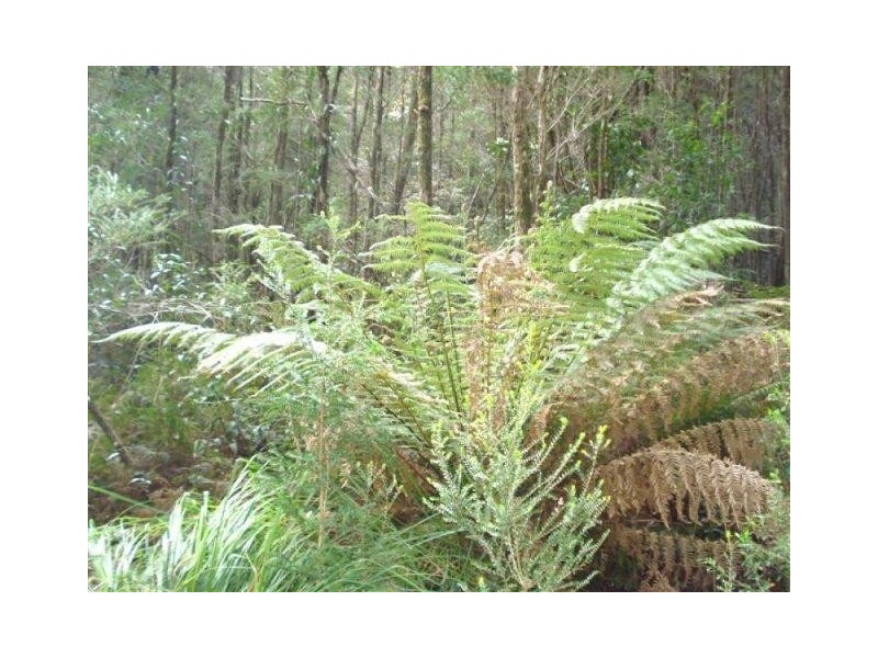 . Park Street, Strahan TAS 7468