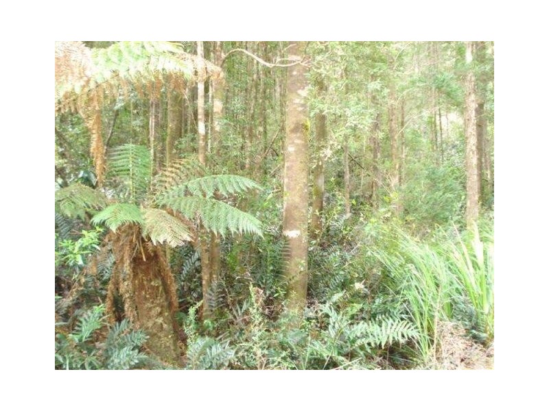 . Park Street, Strahan TAS 7468