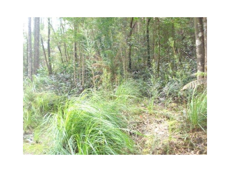 . Park Street, Strahan TAS 7468