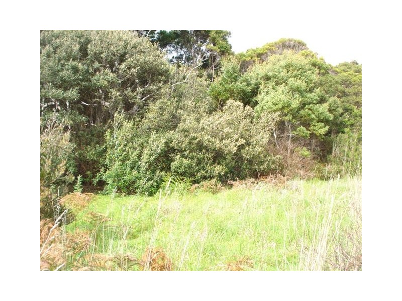 Top Farm Road, Granville Harbour TAS 7469