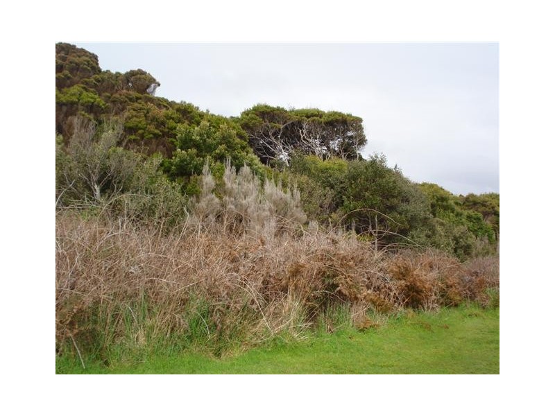 Top Farm Road, Granville Harbour TAS 7469