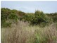 Top Farm Road, Granville Harbour TAS 7469
