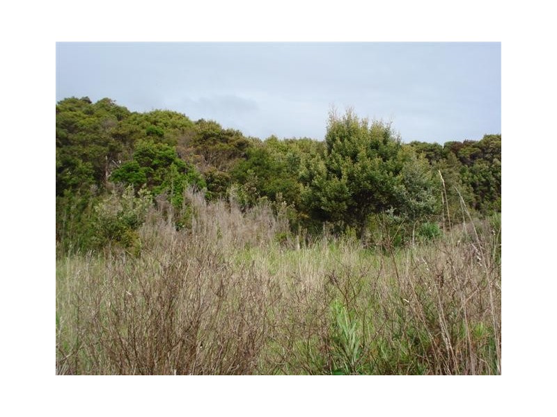 Top Farm Road, Granville Harbour TAS 7469