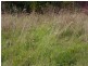 Top Farm Road, Granville Harbour TAS 7469