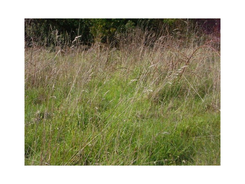 Top Farm Road, Granville Harbour TAS 7469