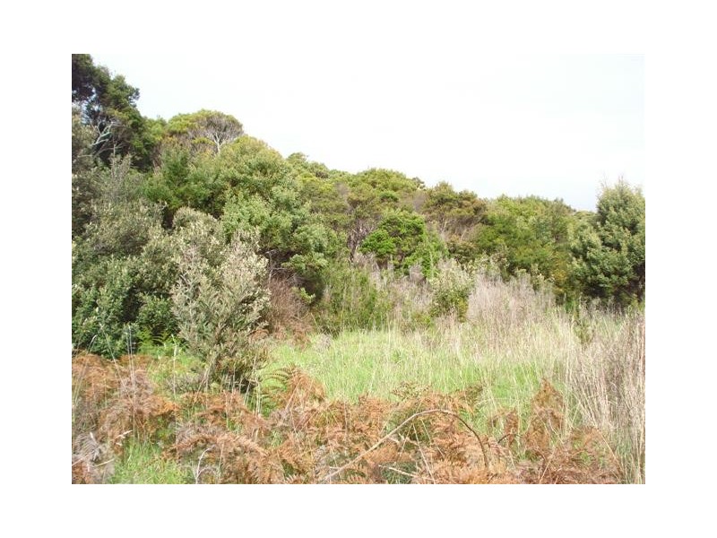 Top Farm Road, Granville Harbour TAS 7469
