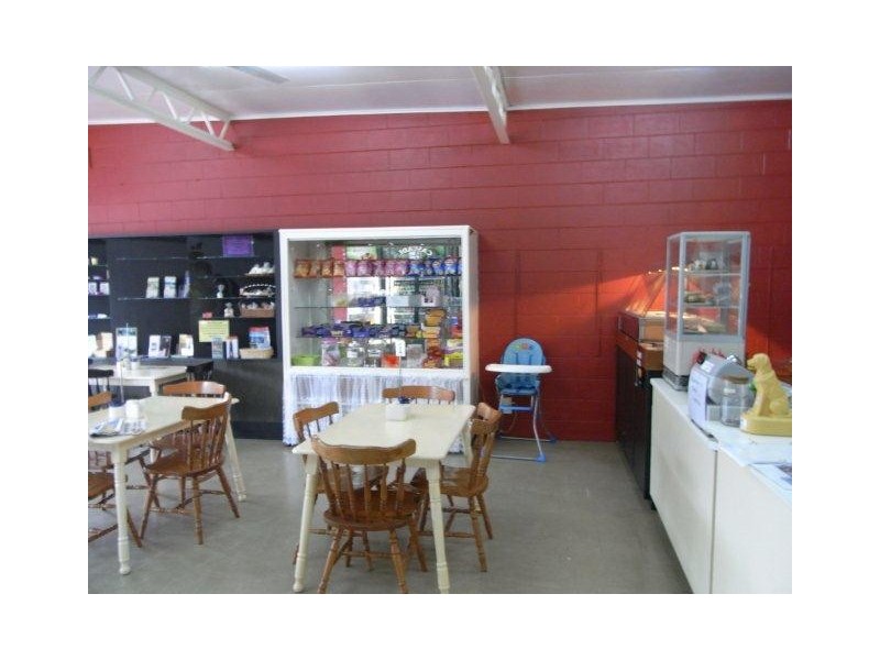 110 Main Street, Zeehan TAS 7469