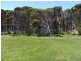 46 Top Farm Track, Granville Harbour TAS 7469