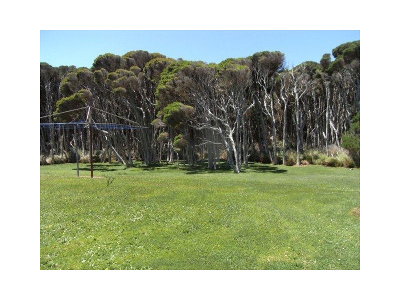 46 Top Farm Track, Granville Harbour TAS 7469