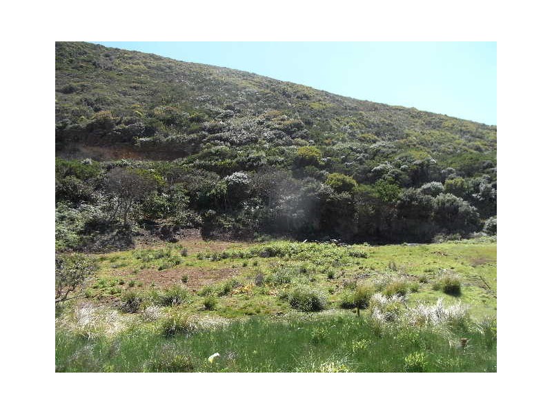 5 Ernies Drive, Trial Harbour TAS 7469