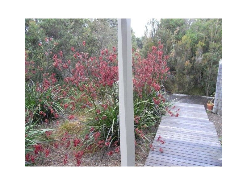 Unit 1,38 Harvey Street, Strahan TAS 7468