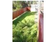 40  Harvey Street, Strahan TAS 7468