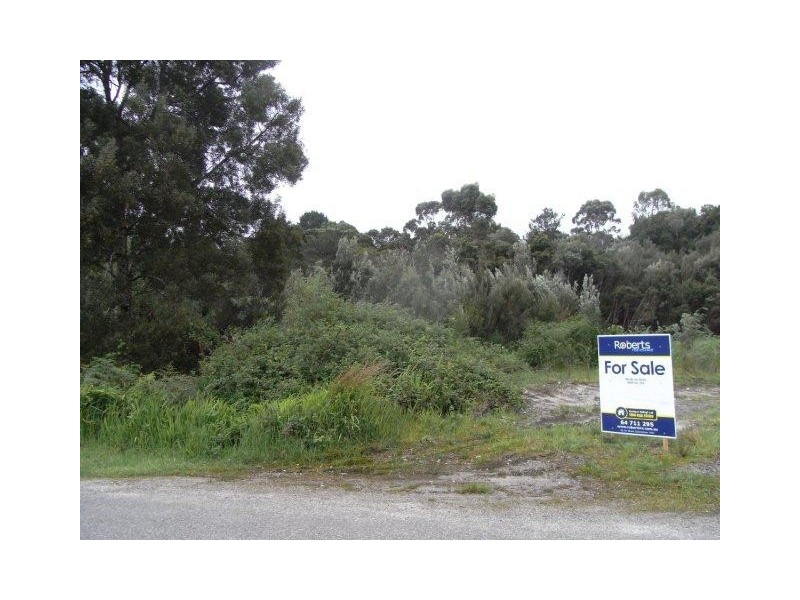 15 Featherstone Street, Strahan TAS 7468