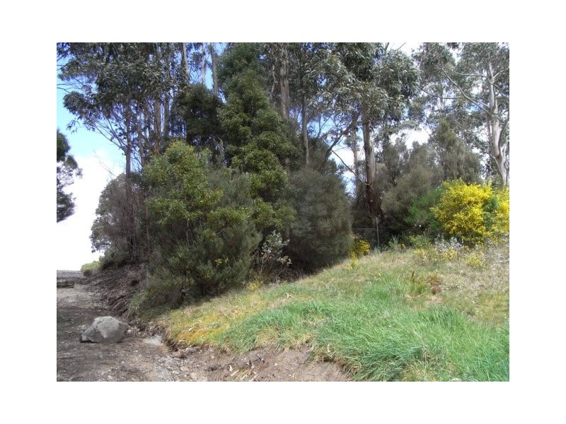 Lot 12 Counsel Street, Zeehan TAS 7469