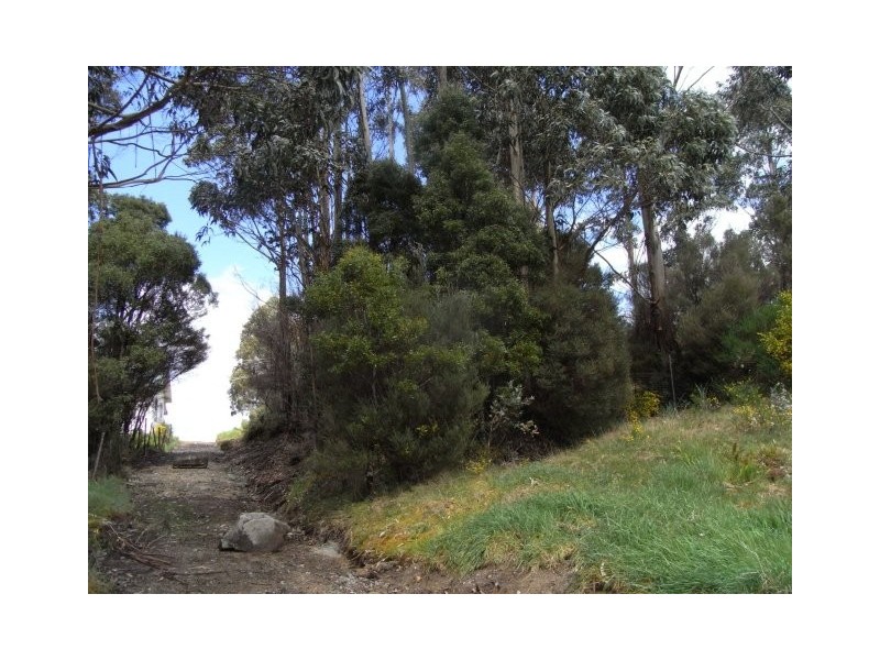 Lot 12 Counsel Street, Zeehan TAS 7469